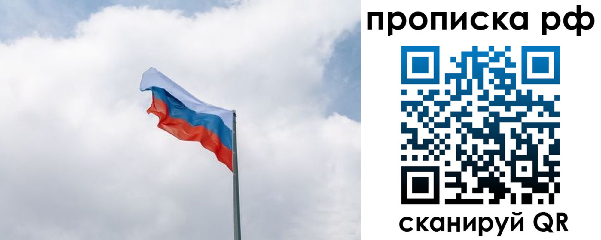 прописка гарантия в Судогде